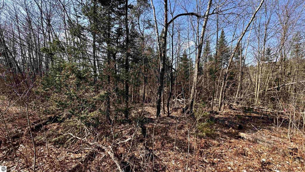 Image 12 of property listing at Lot 28 White Pine Drive, Cadillac, MI 49601