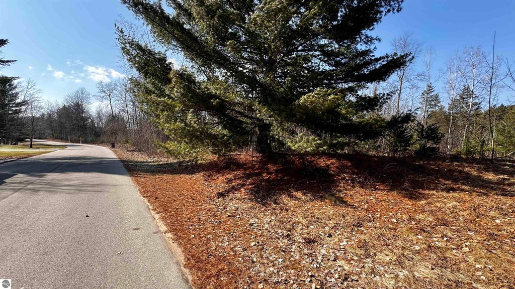 Image 4 of property listing at Lot 28 White Pine Drive, Cadillac, MI 49601
