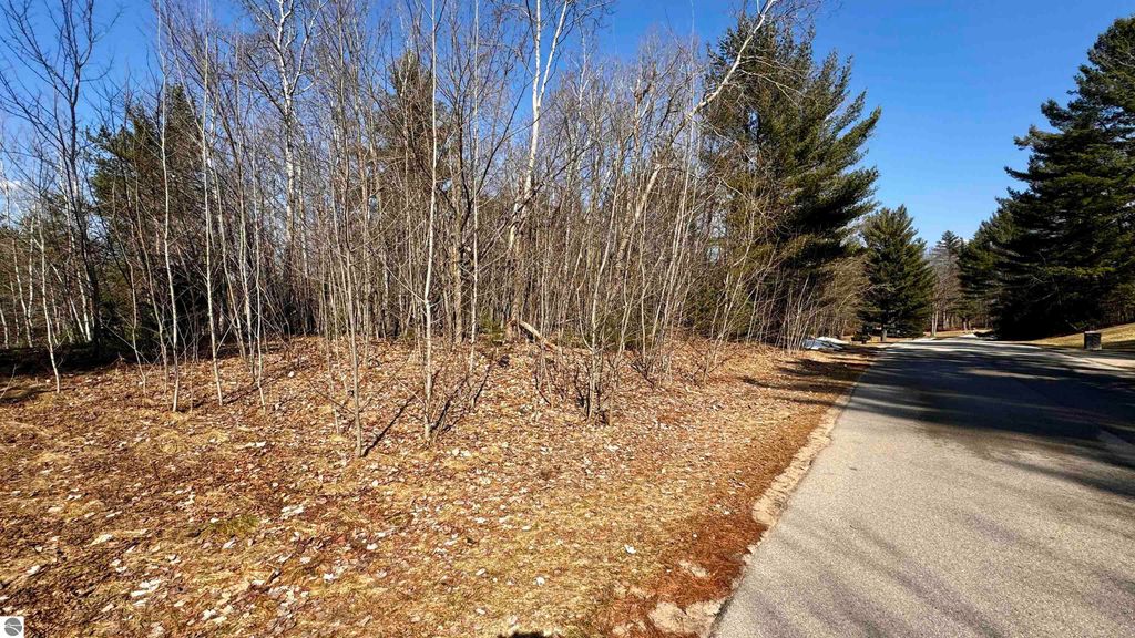 Image 5 of property listing at Lot 28 White Pine Drive, Cadillac, MI 49601