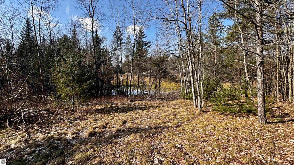Image 7 of property listing at Lot 28 White Pine Drive, Cadillac, MI 49601