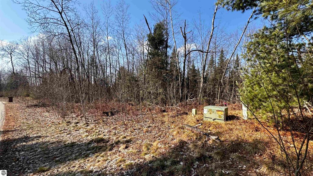 Image 8 of property listing at Lot 28 White Pine Drive, Cadillac, MI 49601