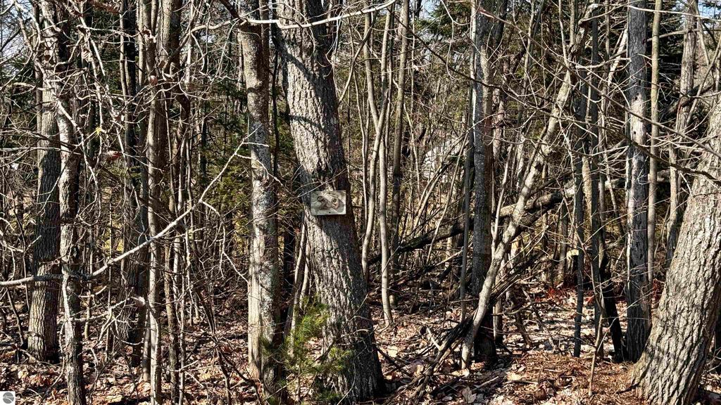 Image 9 of property listing at Lot 28 White Pine Drive, Cadillac, MI 49601