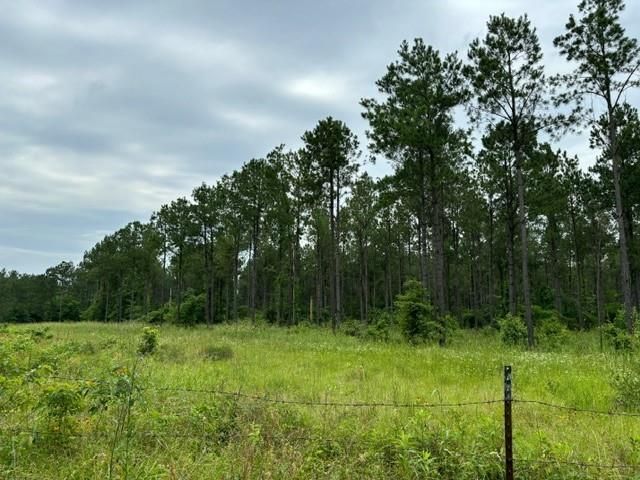 Tract 3 Strickland Fox Hunting Rd, Waskom, TX 75962