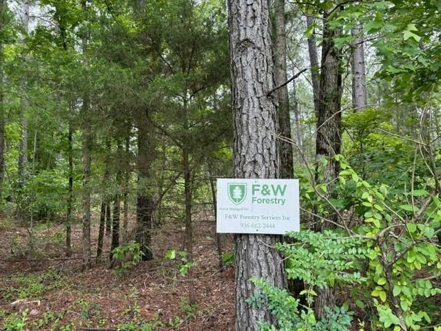 Tract 3 Strickland Fox Hunting Rd, Waskom, TX 75962