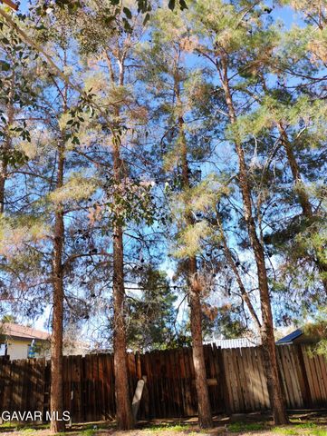 13205 W Avenue W, Pearblossom, CA 93553