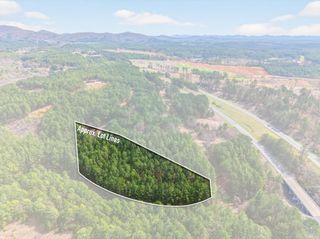 5333 U.S. 64, Lot 4, Copperhill, TN 37317