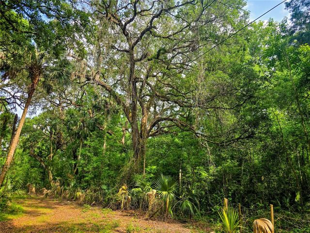 2381 N JENNIFER TERRACE, Inverness, FL 34453