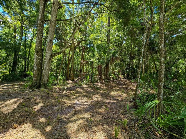 2381 N JENNIFER TERRACE, Inverness, FL 34453