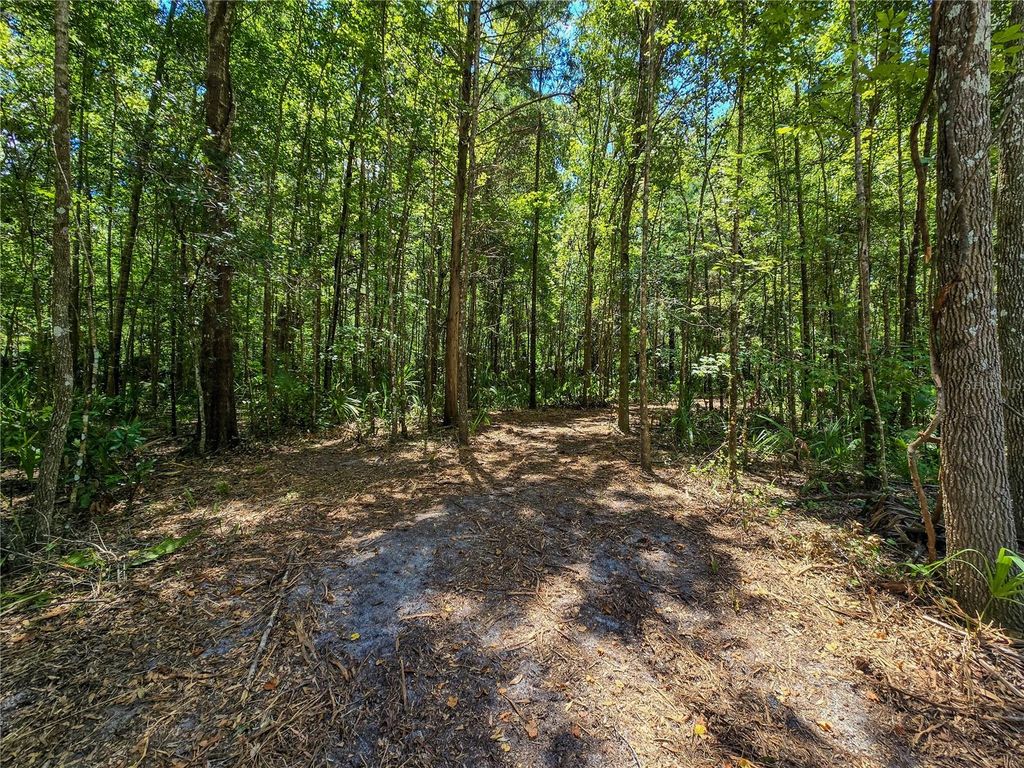2381 N JENNIFER TERRACE, Inverness, FL 34453