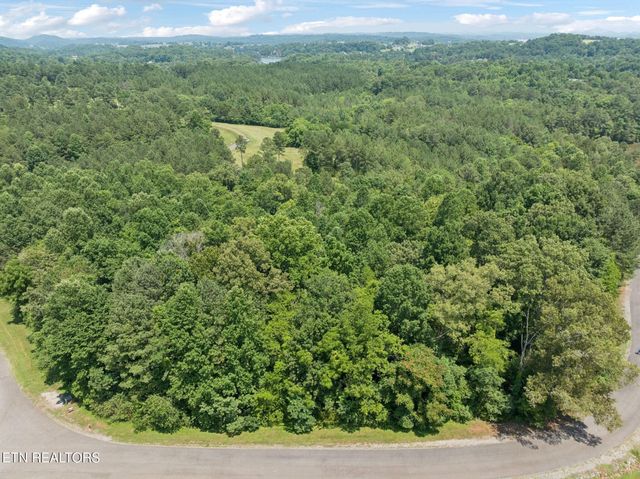 0 Wilderness Drive, Vonore, TN 37885