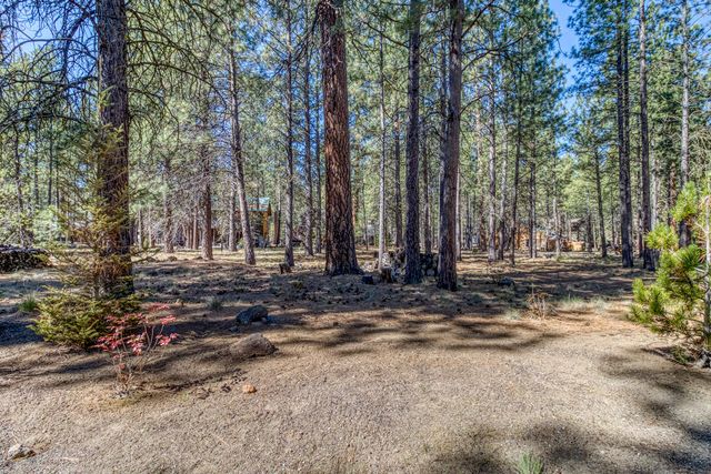 70675 Pasque Flower SM80, Black Butte Ranch, OR 97759