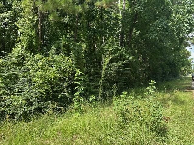 0 Ramblewood, Magnolia, TX 77354