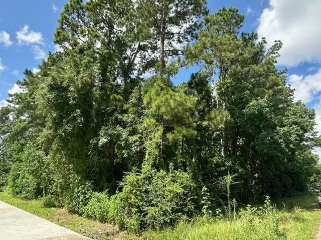 0 Ramblewood, Magnolia, TX 77354