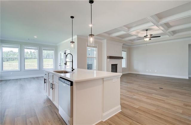 87 Rose Lake Court, Hoschton, GA 30548