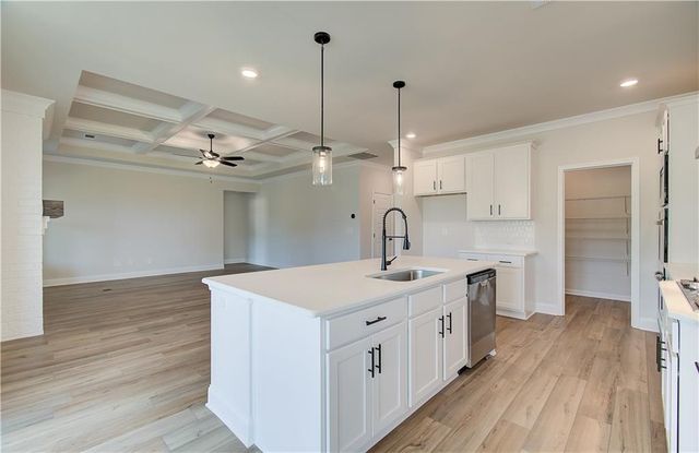 87 Rose Lake Court, Hoschton, GA 30548