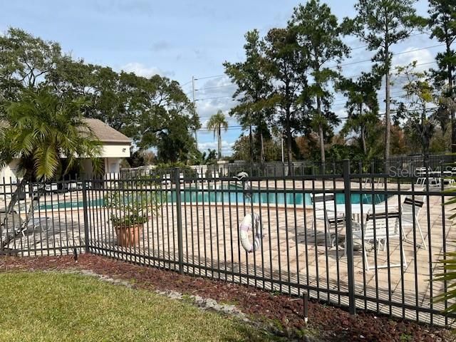3000 RED OAK COURT 204, Palm Harbor, FL 34684