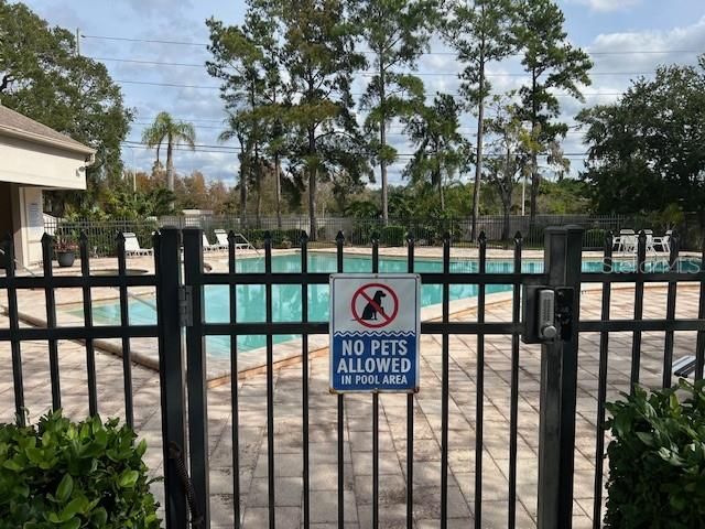 3000 RED OAK COURT 204, Palm Harbor, FL 34684