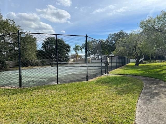 3000 RED OAK COURT 204, Palm Harbor, FL 34684