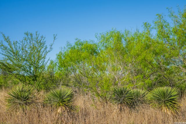 1048 County Road 640, Hondo, TX 78861