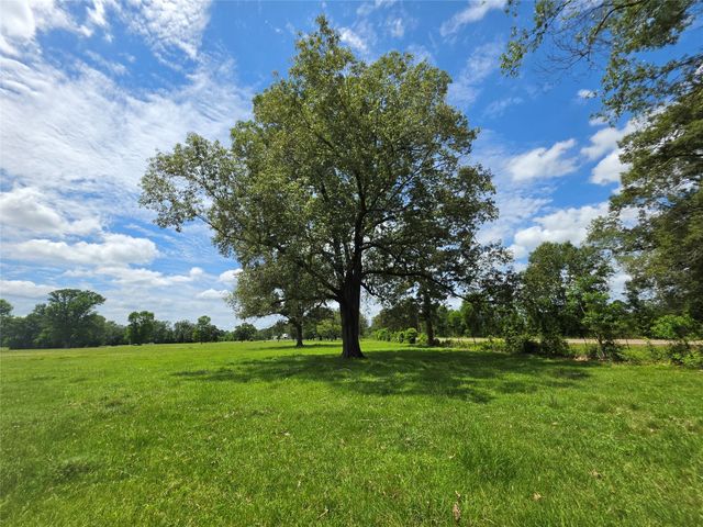 0 Fm 1280, Lovelady, TX 75851