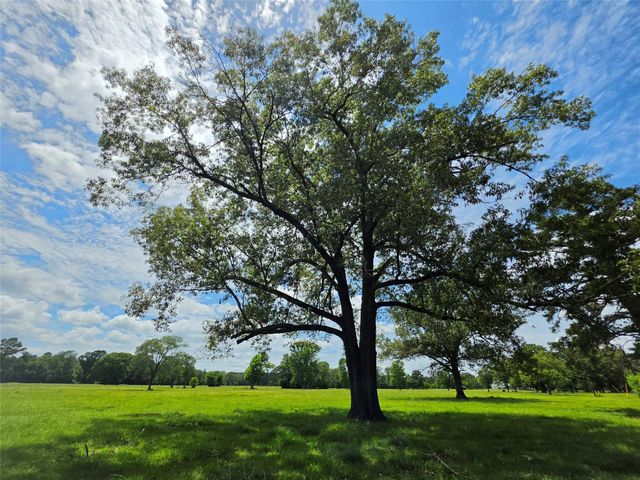 0 Fm 1280, Lovelady, TX 75851