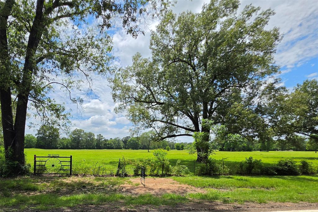 0 Fm 1280, Lovelady, TX 75851
