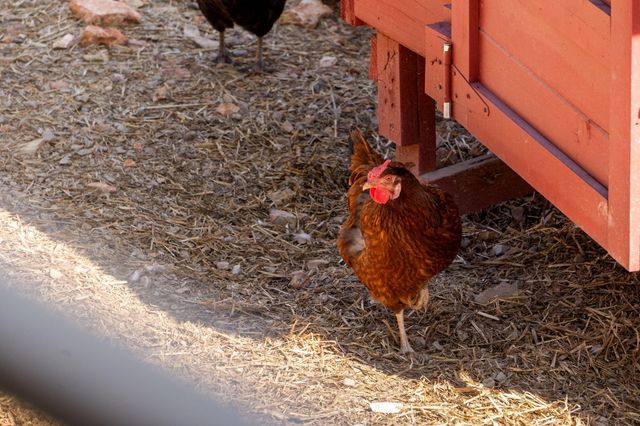 1590 Red Rock Road, Galena, MO 65656