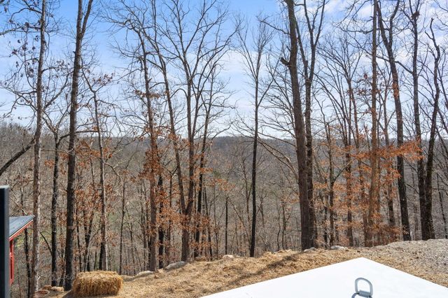 1590 Red Rock Road, Galena, MO 65656