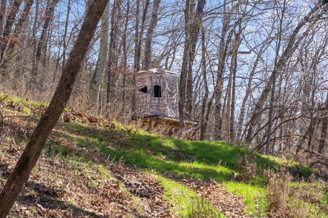 1590 Red Rock Road, Galena, MO 65656