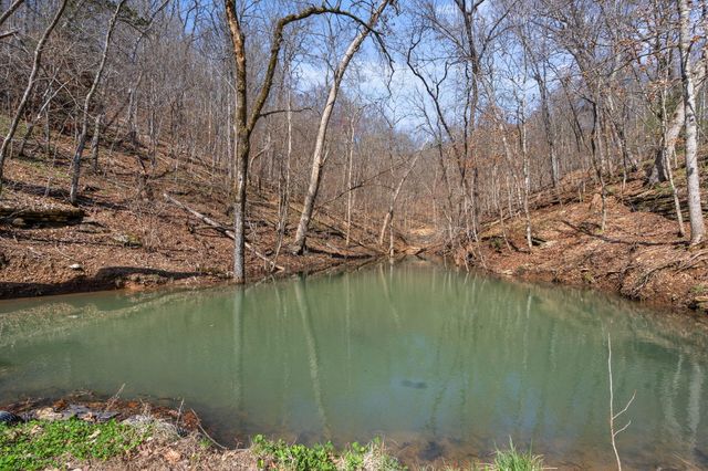 1590 Red Rock Road, Galena, MO 65656