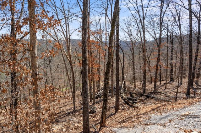 1590 Red Rock Road, Galena, MO 65656