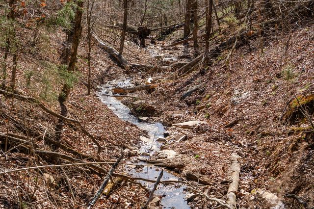 1590 Red Rock Road, Galena, MO 65656