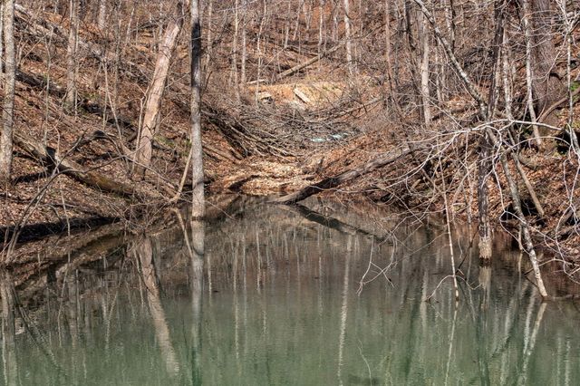 1590 Red Rock Road, Galena, MO 65656