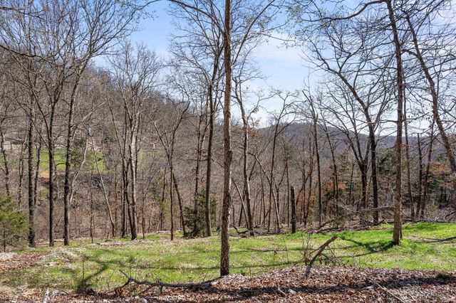 1590 Red Rock Road, Galena, MO 65656