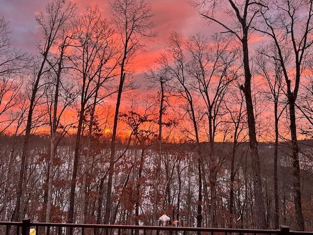 1590 Red Rock Road, Galena, MO 65656