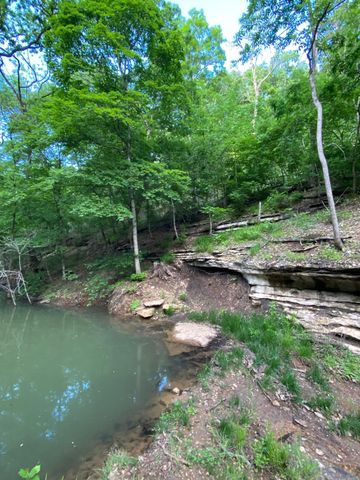 1590 Red Rock Road, Galena, MO 65656