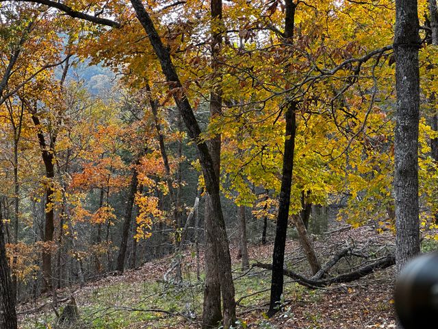 1590 Red Rock Road, Galena, MO 65656