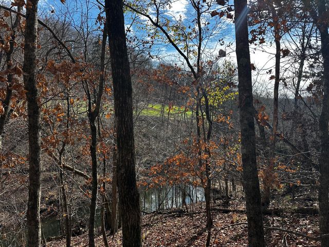 1590 Red Rock Road, Galena, MO 65656