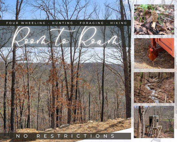 1590 Red Rock Road, Galena, MO 65656