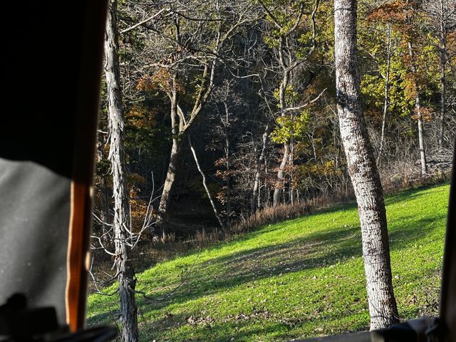 1590 Red Rock Road, Galena, MO 65656