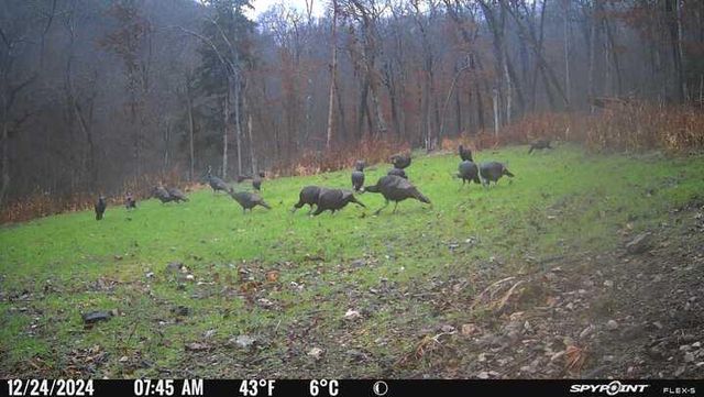 1590 Red Rock Road, Galena, MO 65656