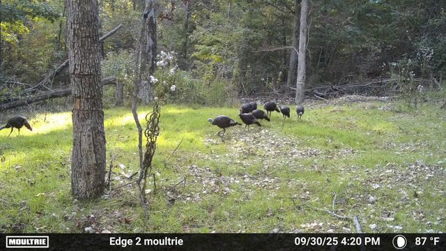 1590 Red Rock Road, Galena, MO 65656