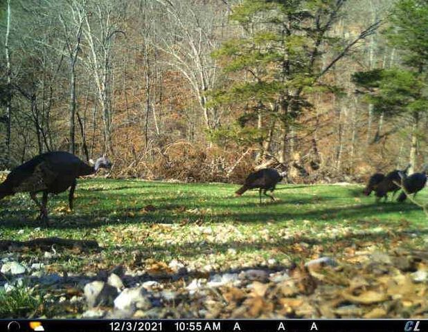 1590 Red Rock Road, Galena, MO 65656