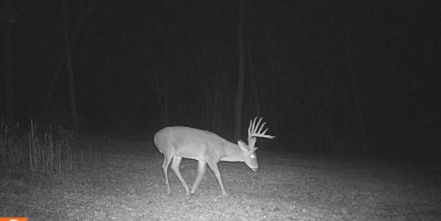 1590 Red Rock Road, Galena, MO 65656