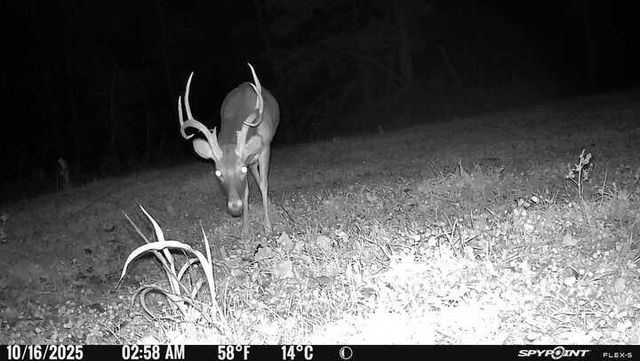 1590 Red Rock Road, Galena, MO 65656