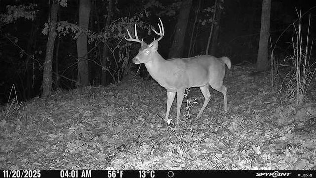 1590 Red Rock Road, Galena, MO 65656