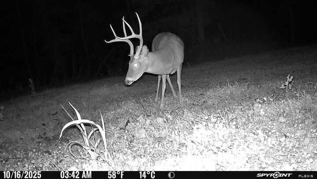 1590 Red Rock Road, Galena, MO 65656