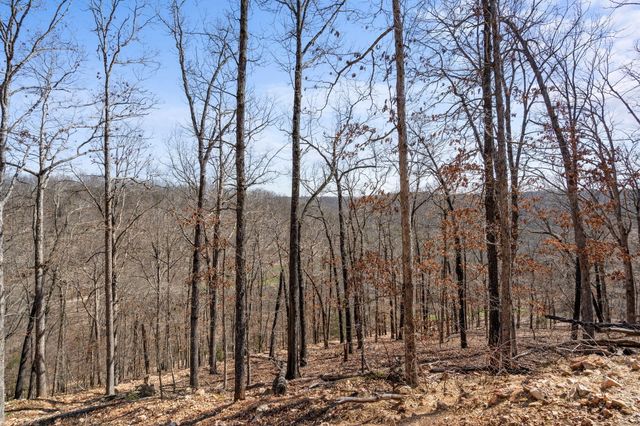 1590 Red Rock Road, Galena, MO 65656