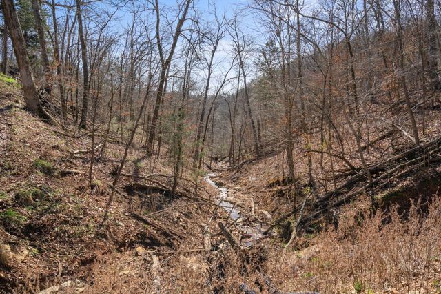 1590 Red Rock Road, Galena, MO 65656