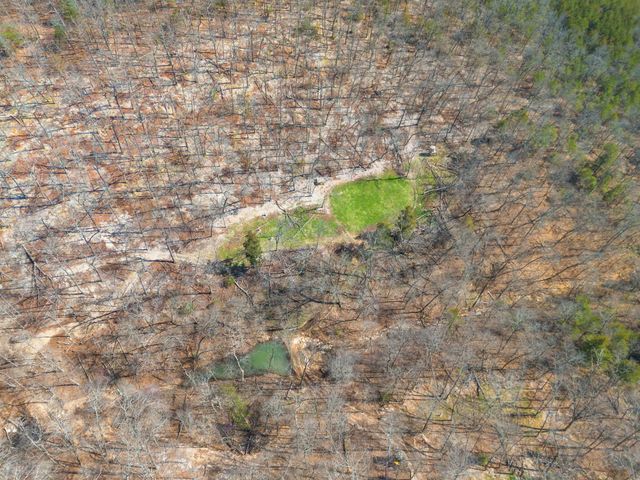 1590 Red Rock Road, Galena, MO 65656